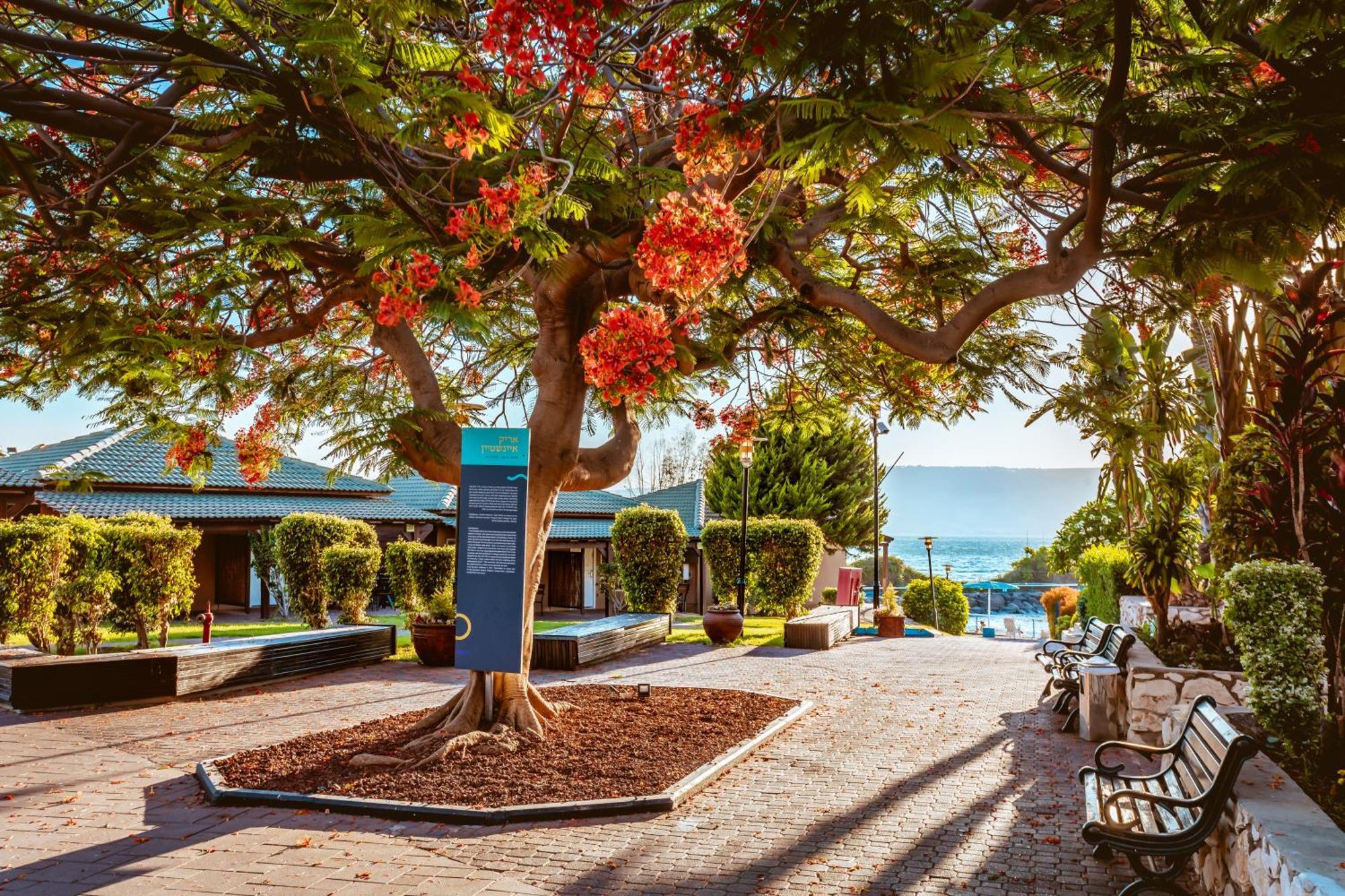 Hotel Daria- Authentic Israeli Experience à HaOn Extérieur photo